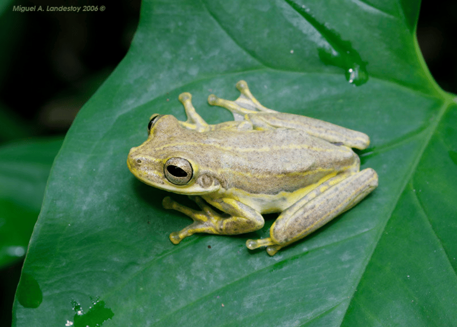 145-2-10.png 145 2 10