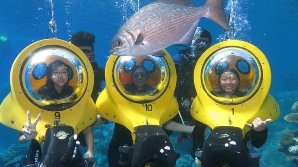 145-6-36.jpg 145 6 36