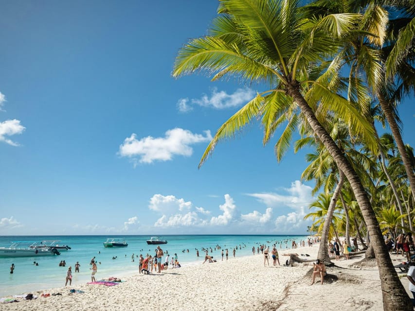 145-6-63.jpg 145 6 63