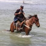 Los Haitises National Park: Best Prices 81 145 279