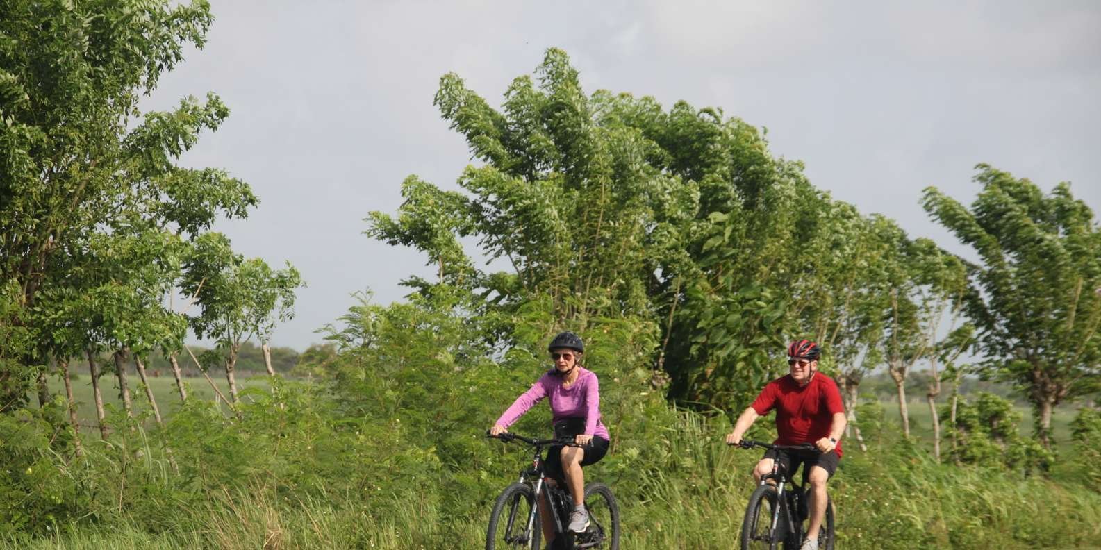 99-1-184.jpg 99 1 184