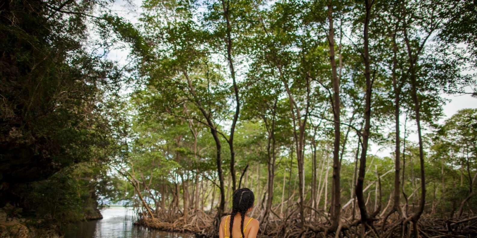 99-2-157.jpg 99 2 157