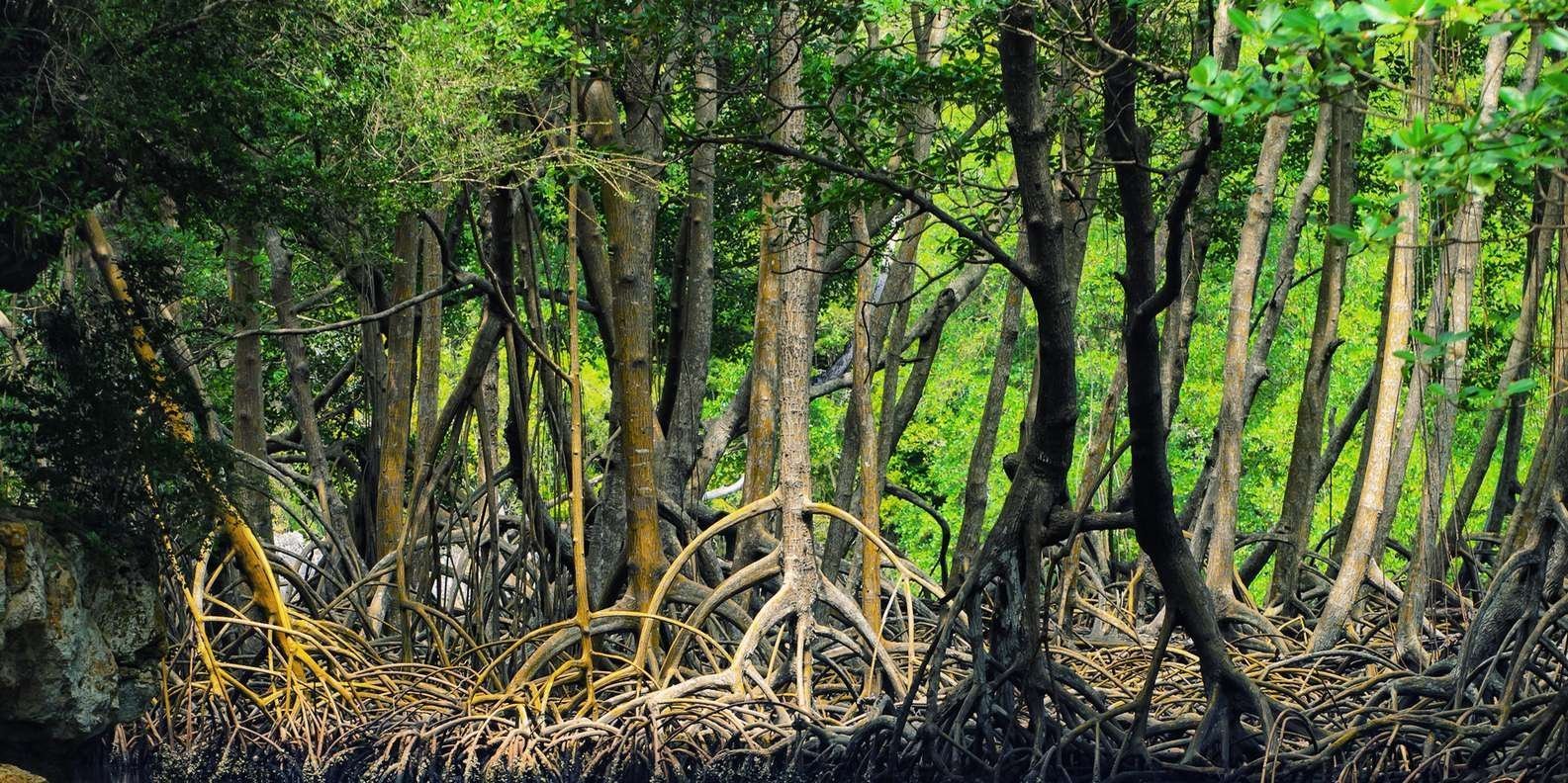 99-3-150.jpg 99 3 150